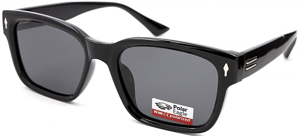 POLAR EAGLE 09305 C01