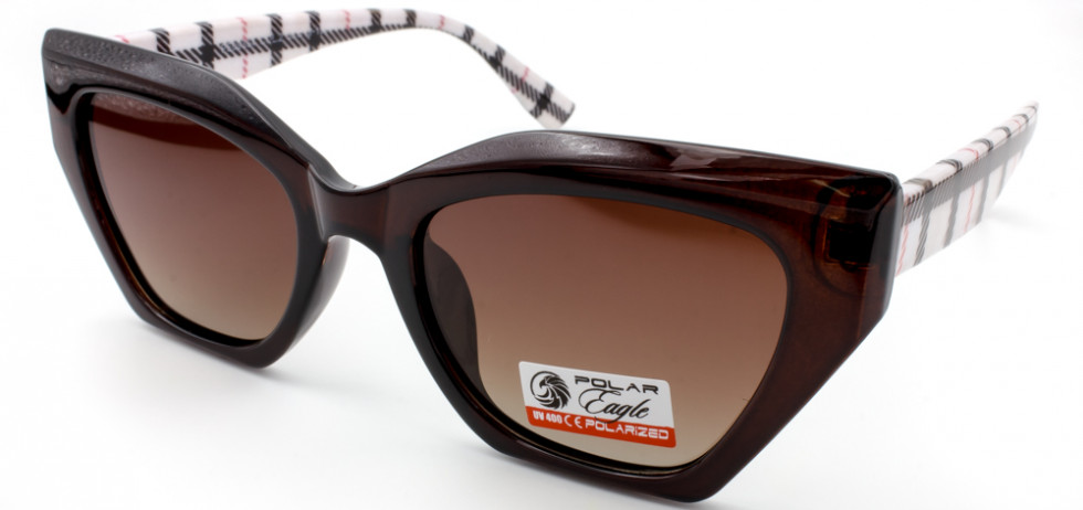 POLAR EAGLE 09334 C2