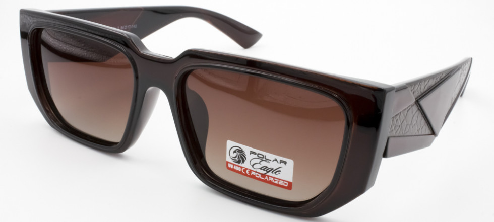 POLAR EAGLE 09395 C2