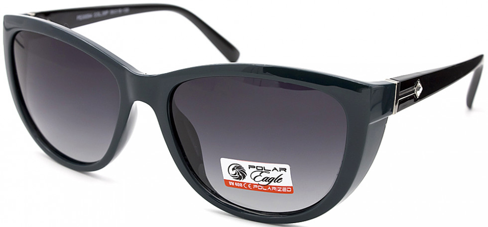 POLAR EAGLE 09594 C6