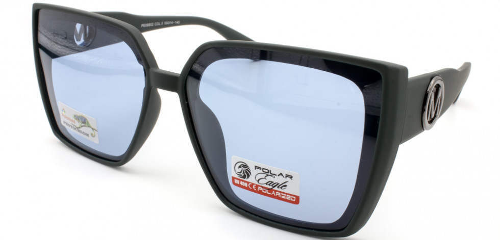 POLAR EAGLE 09802 C5