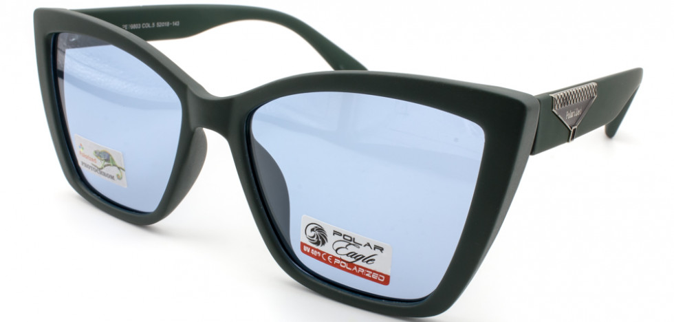 POLAR EAGLE 09803 C5