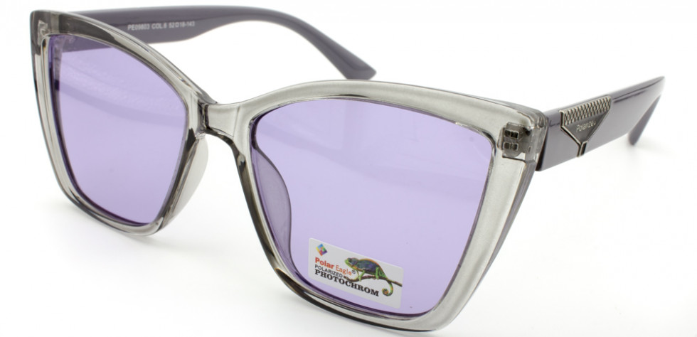 POLAR EAGLE 09803 C6