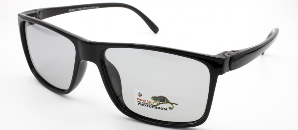 POLAR EAGLE 8447 C1