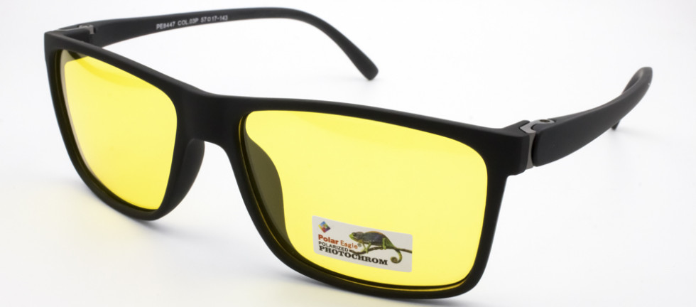 POLAR EAGLE 8447 C3