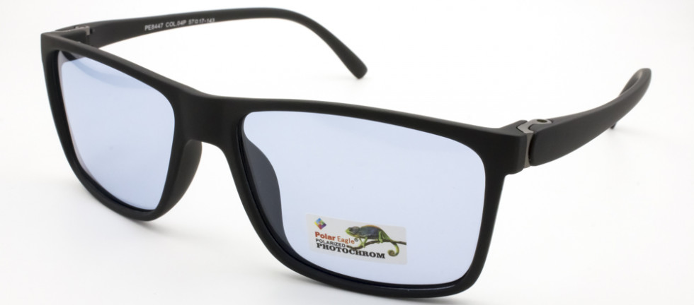 POLAR EAGLE 8447 C4