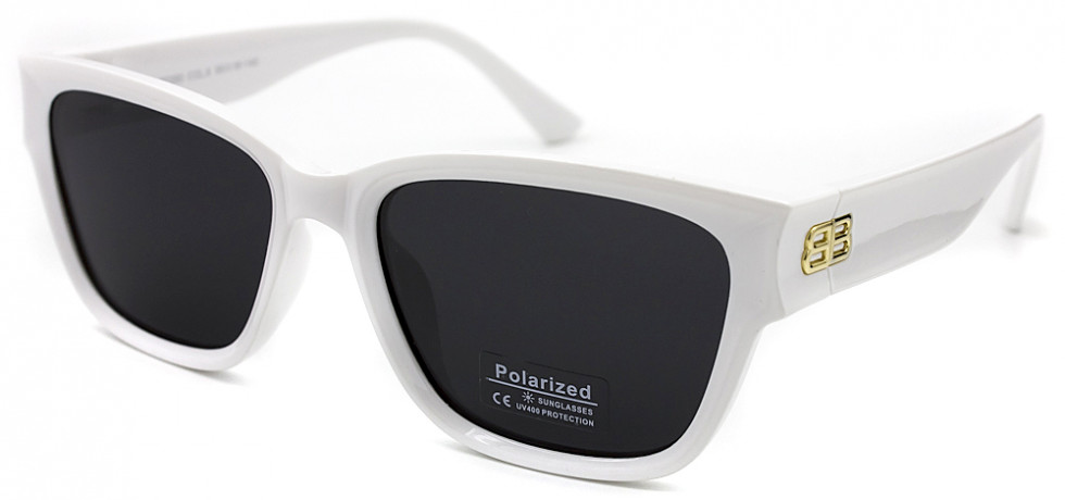 POLARIZED 0260 C6