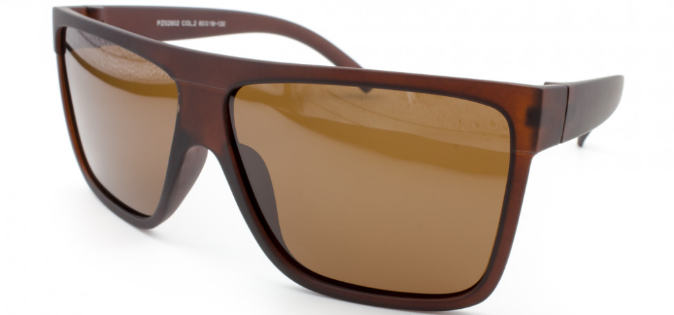 POLARIZED 02802 C2