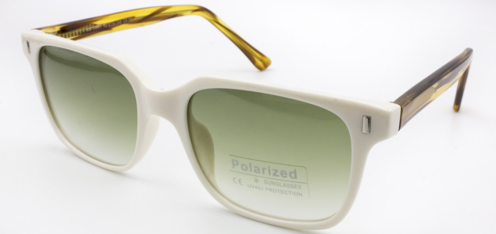 POLARIZED 19801 C6