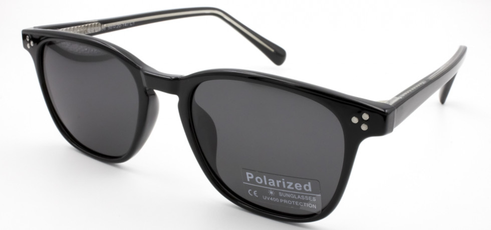 POLARIZED 19806 C1