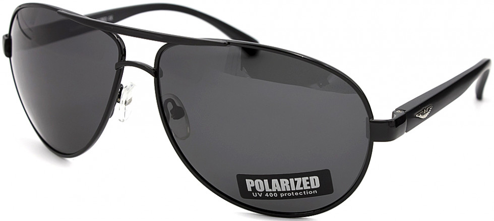 POLARIZED 304P C1