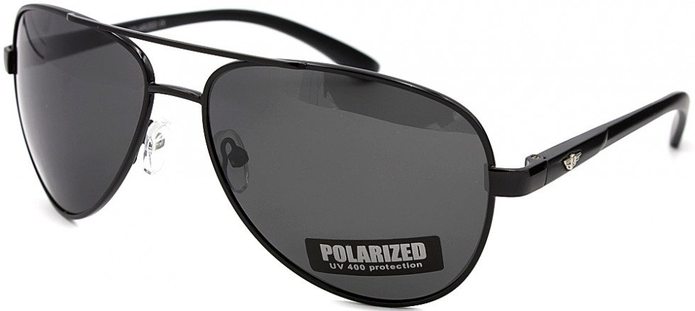 POLARIZED 309P C1