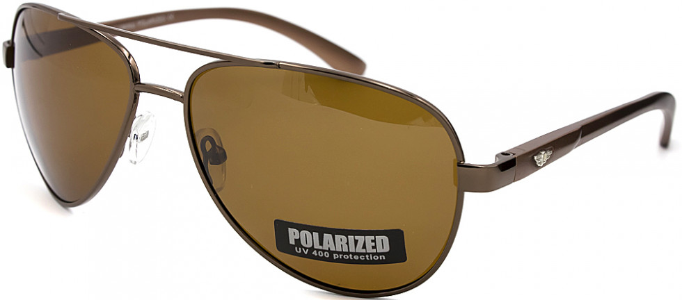 POLARIZED 309P C2