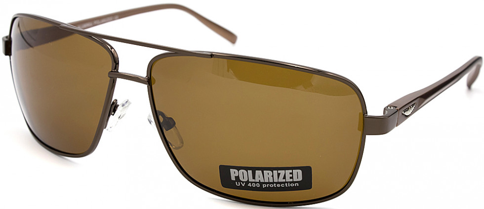 POLARIZED 314P C2