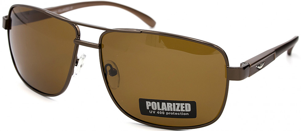 POLARIZED 320P C2