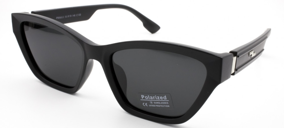 POLARIZED 6603 C130