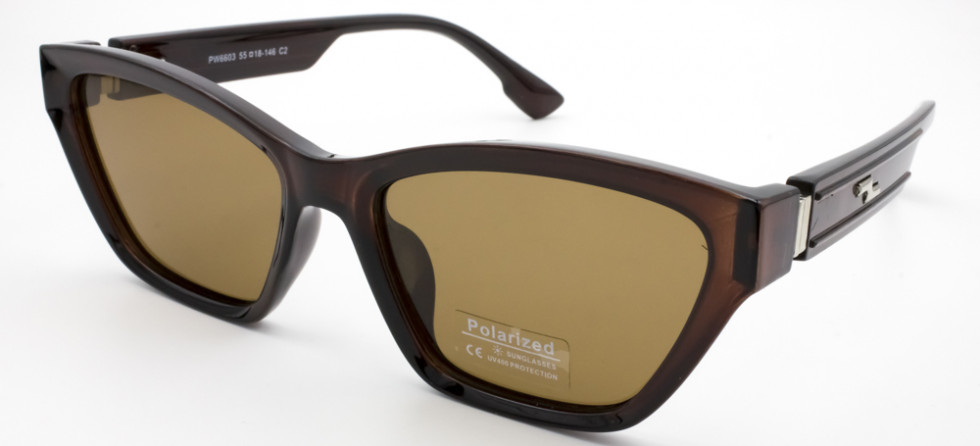 POLARIZED 6603 C2