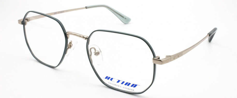 ACTION 1205 C3