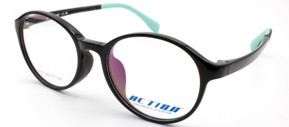 ACTION 2132 C285-1