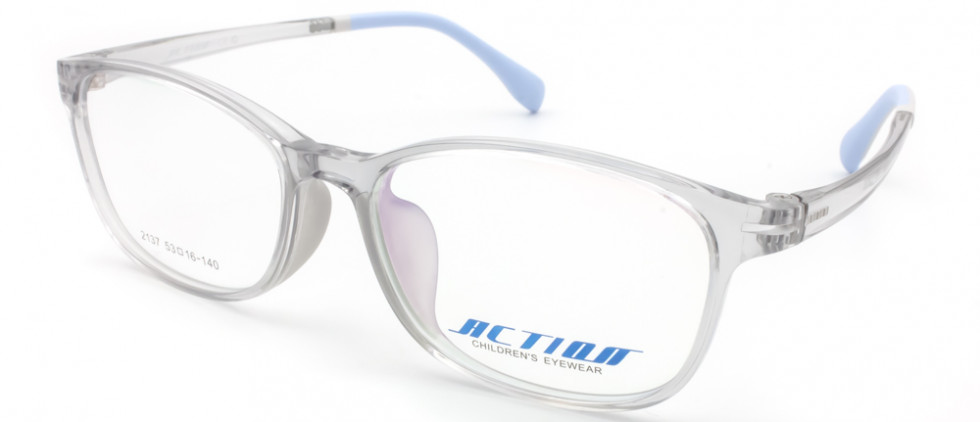 ACTION 2137 C406