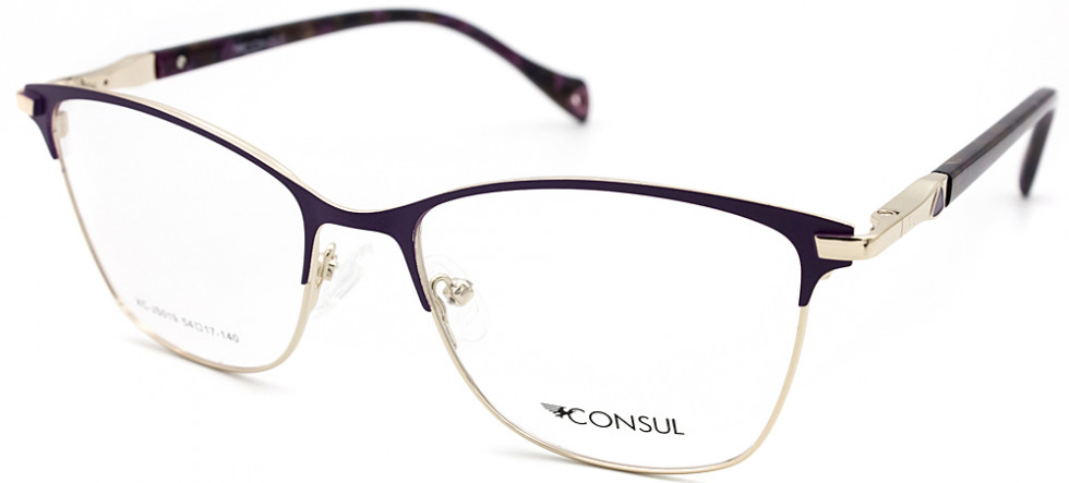 CONSUL 019JS C2