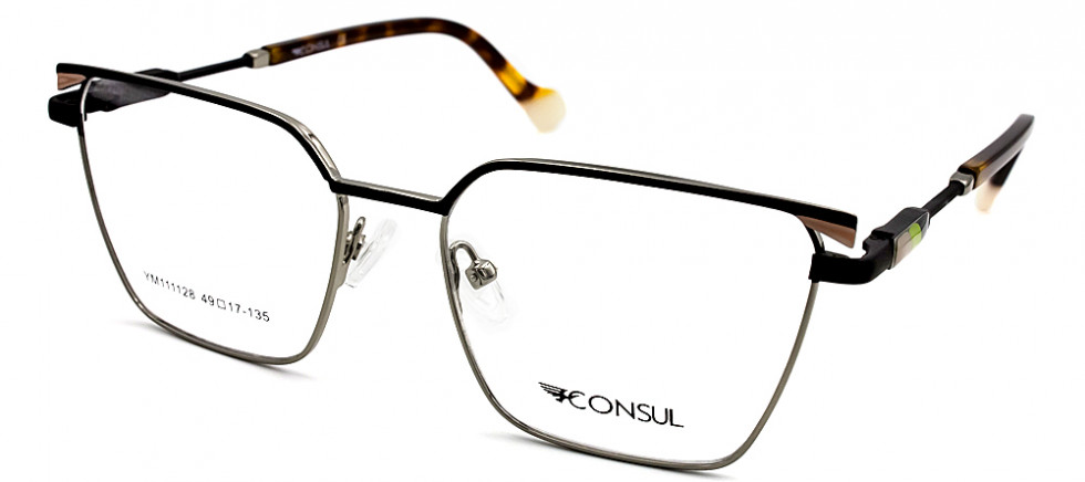 CONSUL 111128 C1