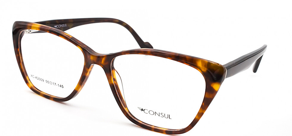 CONSUL 2009 C11