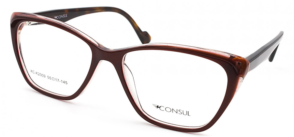 CONSUL 2009 C13