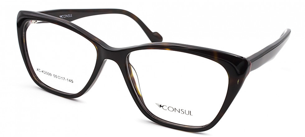 CONSUL 2009 C14