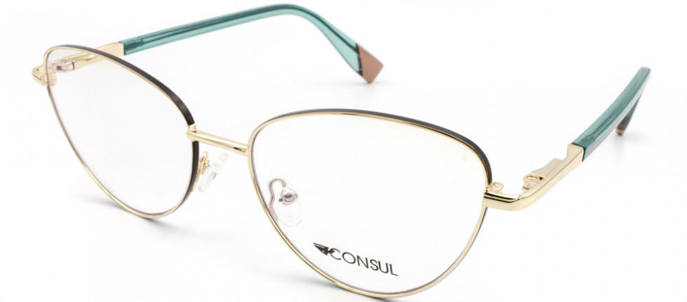 CONSUL 3020 C6
