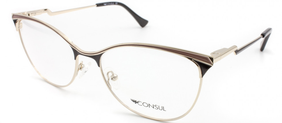 CONSUL 3819 C1