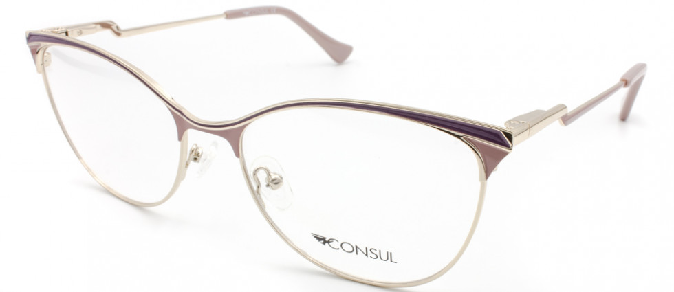 CONSUL 3819 C4