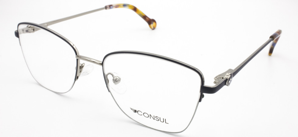CONSUL 8113 C6
