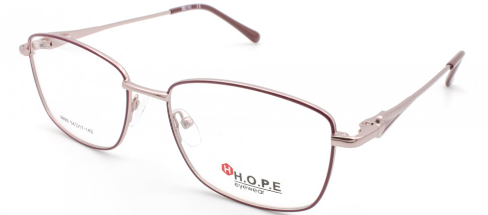 HOPE 6699 C3