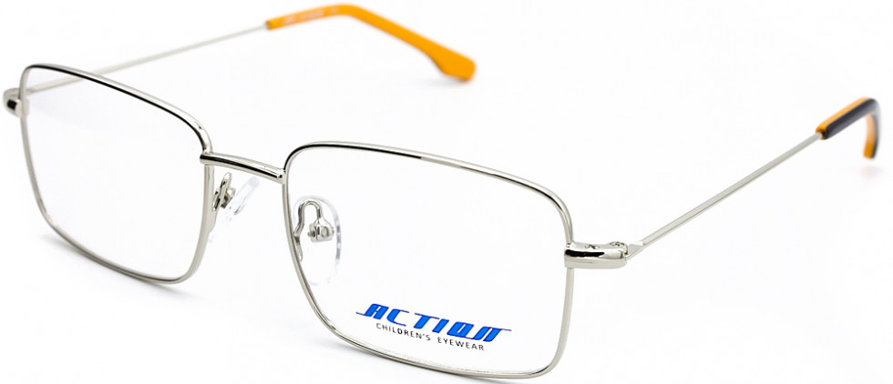 ACTION 1178R C2